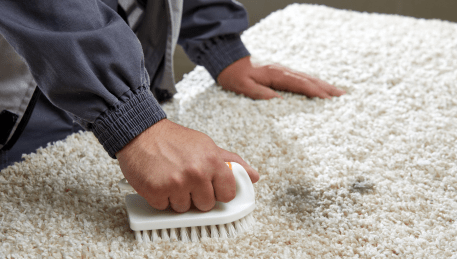 Professional Rug Cleaning Strathmore